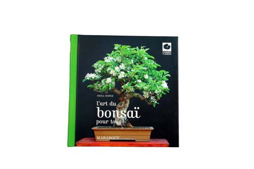 L'art du bonsaï pour tous - Marabout